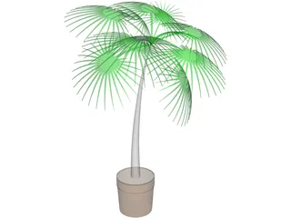 Palm Tree Plant 3D Model preview