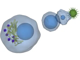 Cytology Cells Virus 3D Model preview
