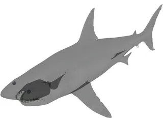 Great White Shark 3D Model preview