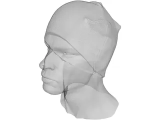 Head for Printing Decimated 3D Model preview