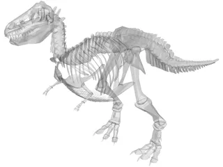 T-Rex Skeleton 3D Model preview
