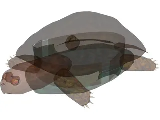 Turtle 3D Model preview