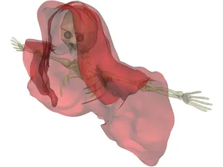 Skeletal Monster in Cloak 3D Model preview