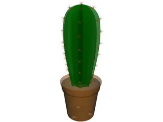 Cactus in Container 3D Model preview
