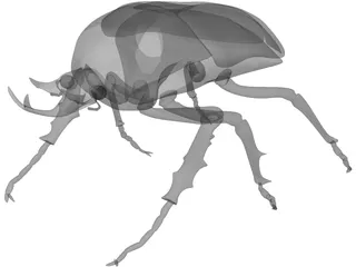 African Rose Beetle 3D Model preview