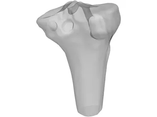 Human Knee 3D Model preview