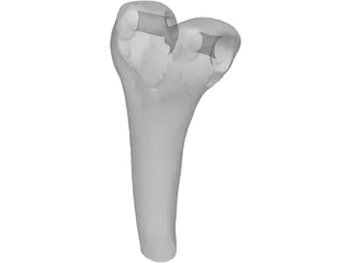Human Knee 3D Model preview