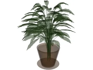Spathiphyllum 3D Model preview