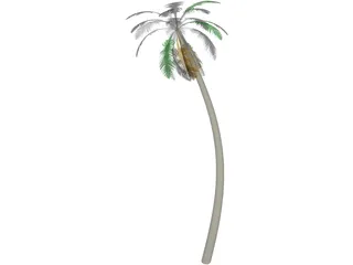 Tree Palm 3D Model preview