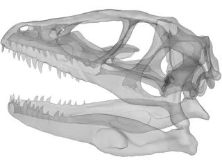Dinosaur Skull 3D Model preview