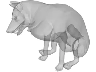 Wolf Sitting 3D Model preview