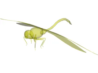 Dragon Fly 3D Model preview