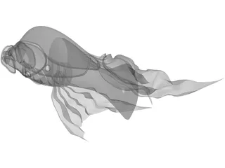 Exotic Fish 3D Model preview