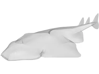 Angel Shark 3D Model preview