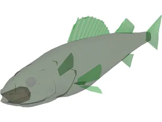 Walleye 3D Model preview
