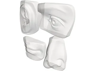 Michelangelo 3D Model preview