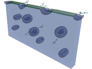 Cell Membrane 3D Model preview