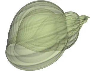 Shell Sea 3D Model preview