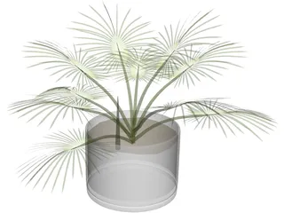 House Plant 3D Model preview