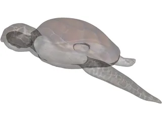 Turtle 3D Model preview