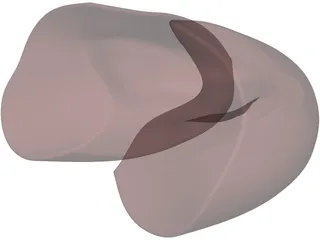 Lungs 3D Model preview