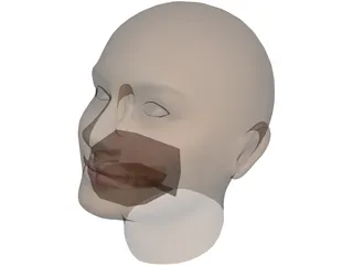 Woman Head 3D Model preview