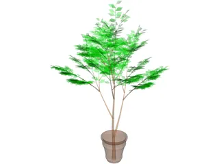 Potted Tree 3D Model preview