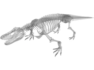 Komodo Dragon Skeleton 3D Model preview