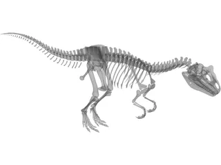 Allosaurus Skeleton 3D Model preview