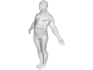 Male Body 3D Model preview
