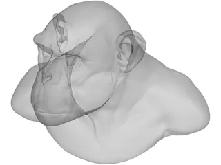 Chimp Head 3D Model preview