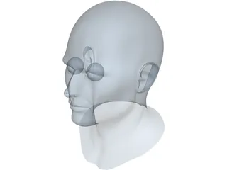 Human Face 3D Model preview