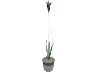 Potted Plant 3D Model preview