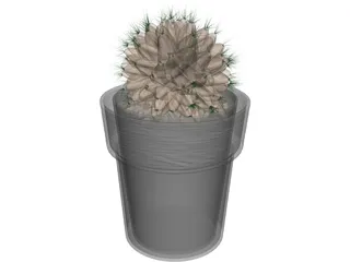Potted Cactus Plant 3D Model preview