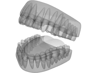 Teeth 3D Model preview