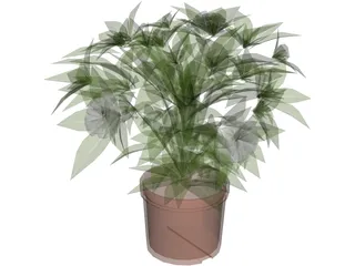Potted Plant 3D Model preview