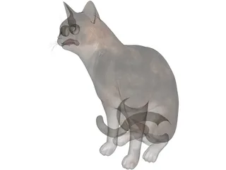 Cat Sitting Red Haired 3D Model preview