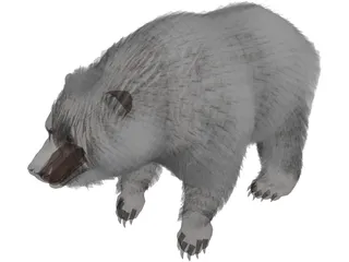Brown Bear 3D Model preview