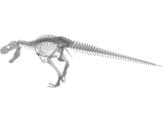 T-Rex Skeleton 3D Model preview