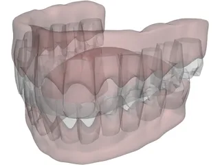 Gums Teeth Tongue 3D Model preview