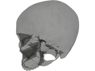 Human Skull No Jaw 3D Model preview