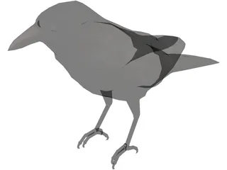 Bangor Crow 3D Model preview