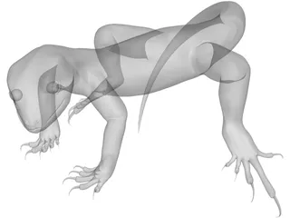 Lizard 3D Model preview