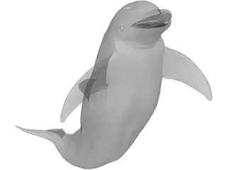 Dolphin 3D Model preview