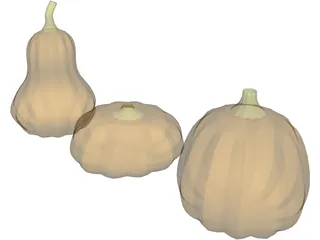 Squash 3D Model preview