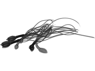 Human Sperm 3D Model preview