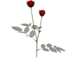 Red Rose 3D Model preview