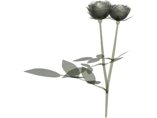 White Rose 3D Model preview