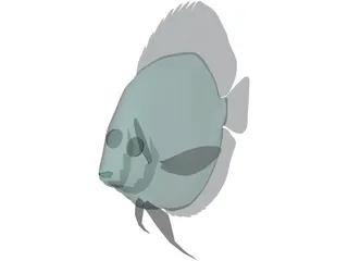 Discus 3D Model preview