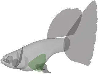 Guppy 3D Model preview